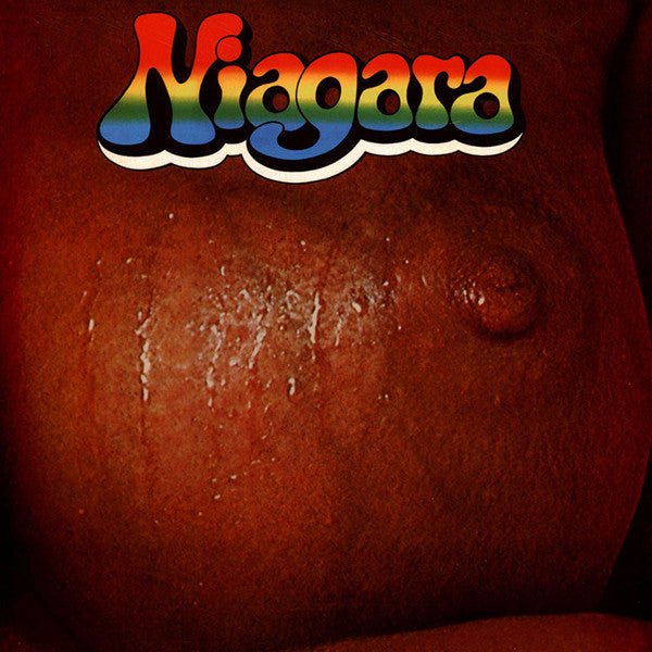 NIAGARA NIAGARA VINYL LP Item no. :EVERLANDPSYCH11LP - punk to funk heaven