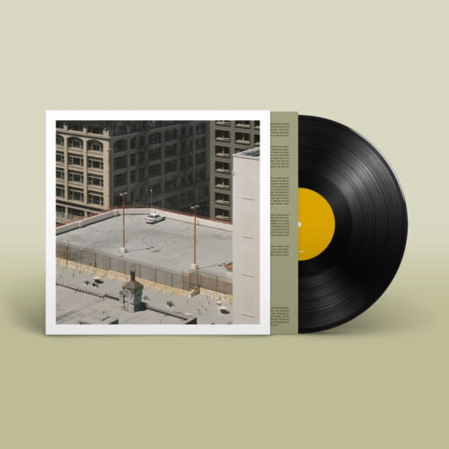 The Car Artist Arctic Monkeys Format:Vinyl / 12" Album Label:Domino Records Catalogue No:WIGLP455