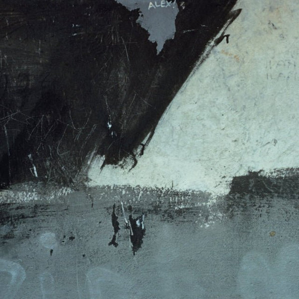 Shellshock Artist New Order Format:Vinyl / 12" Single Label:Rhino - punk to funk heaven