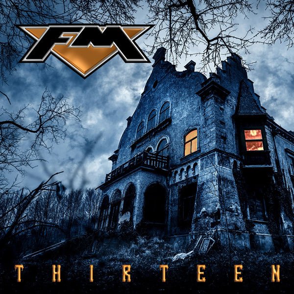 THIRTEEN (2LP) (GOLD VINYL) by FM Vinyl Double Album FRLP1209GO - punk to funk heaven