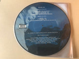 DAVID BOWIE  Live At The Sambodromo De Rio 1990  (LP Picture Disc x2)  EVOLUTION   JER03