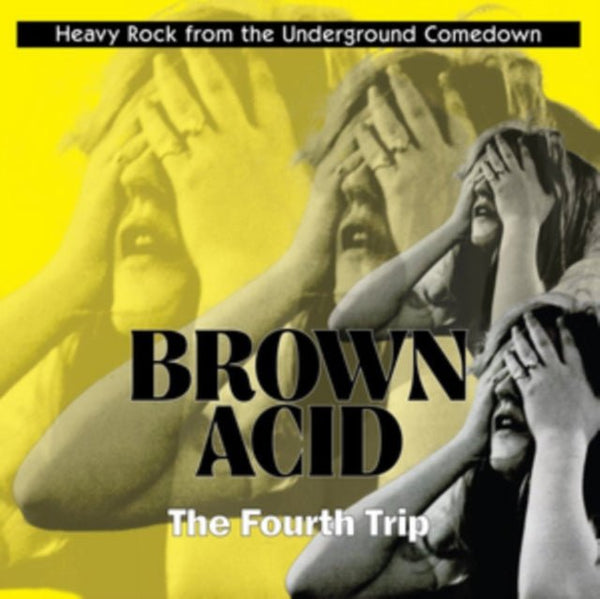 Various – Brown Acid: The Fourth Trip (Heavy Rock From The Underground Comedown) vinyl lp - punk to funk heaven