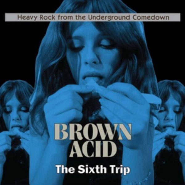 Various ‎– Brown Acid: The Sixth Trip (Heavy Rock From The Underground Comedown) vinyl lp - punk to funk heaven