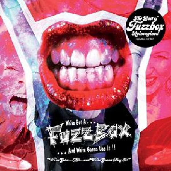We've Got A...CD...and We're Gonna Play It! fuzzbox cd - punk to funk heaven